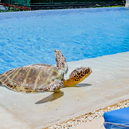Villa Del Pescador シワタネホ エクステリア 写真