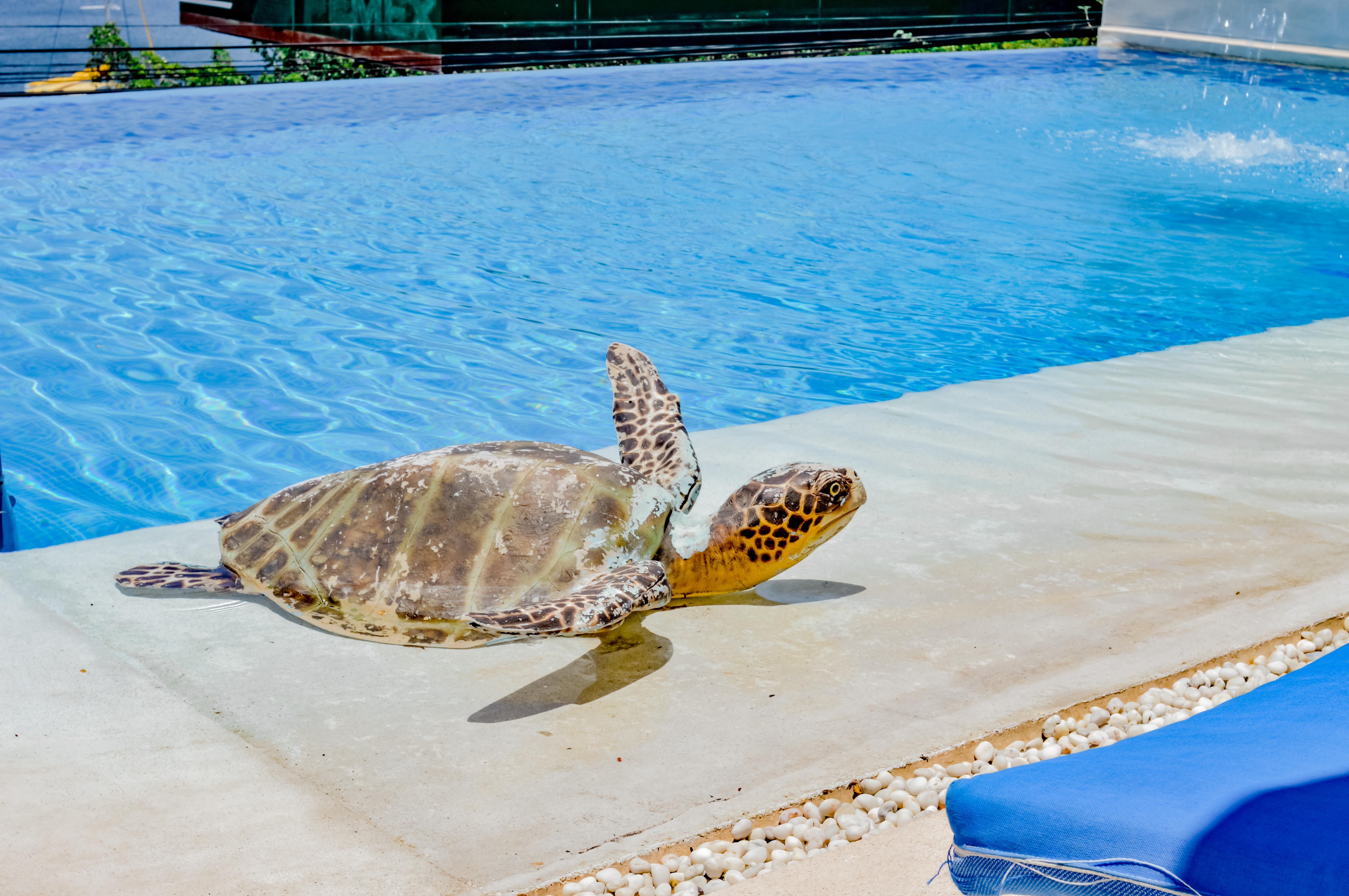 Villa Del Pescador シワタネホ エクステリア 写真